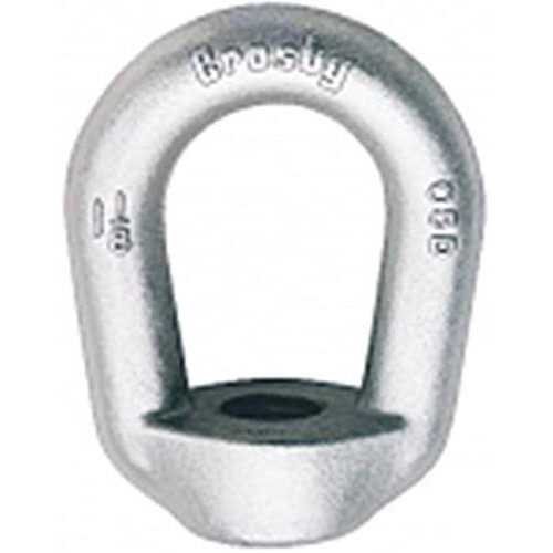 Crosby G-400 Hot Dip Galvanized Eye Nut Tap at Rigging Warehouse - Zenithce