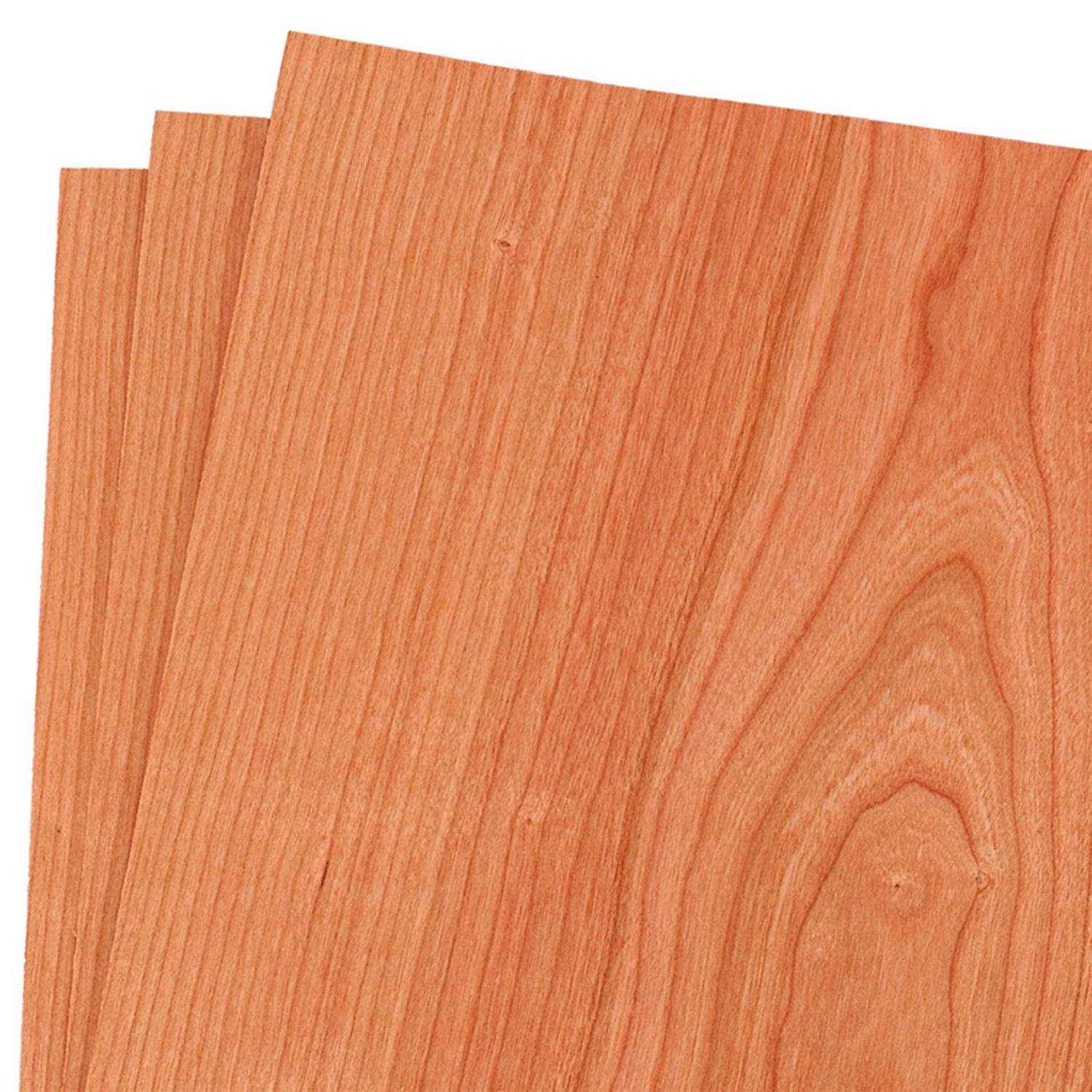 Sauers Maple Veneer 12 x 12 - Zenithce