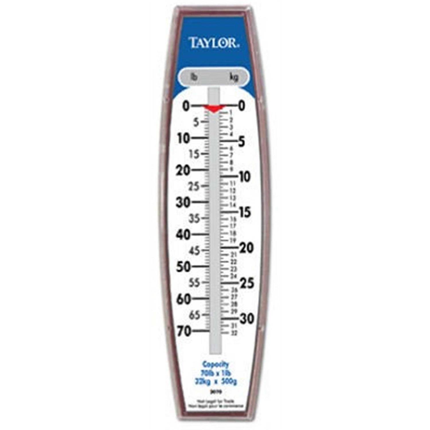 Taylor 3880 Kitchen Food Scale - Zenithce
