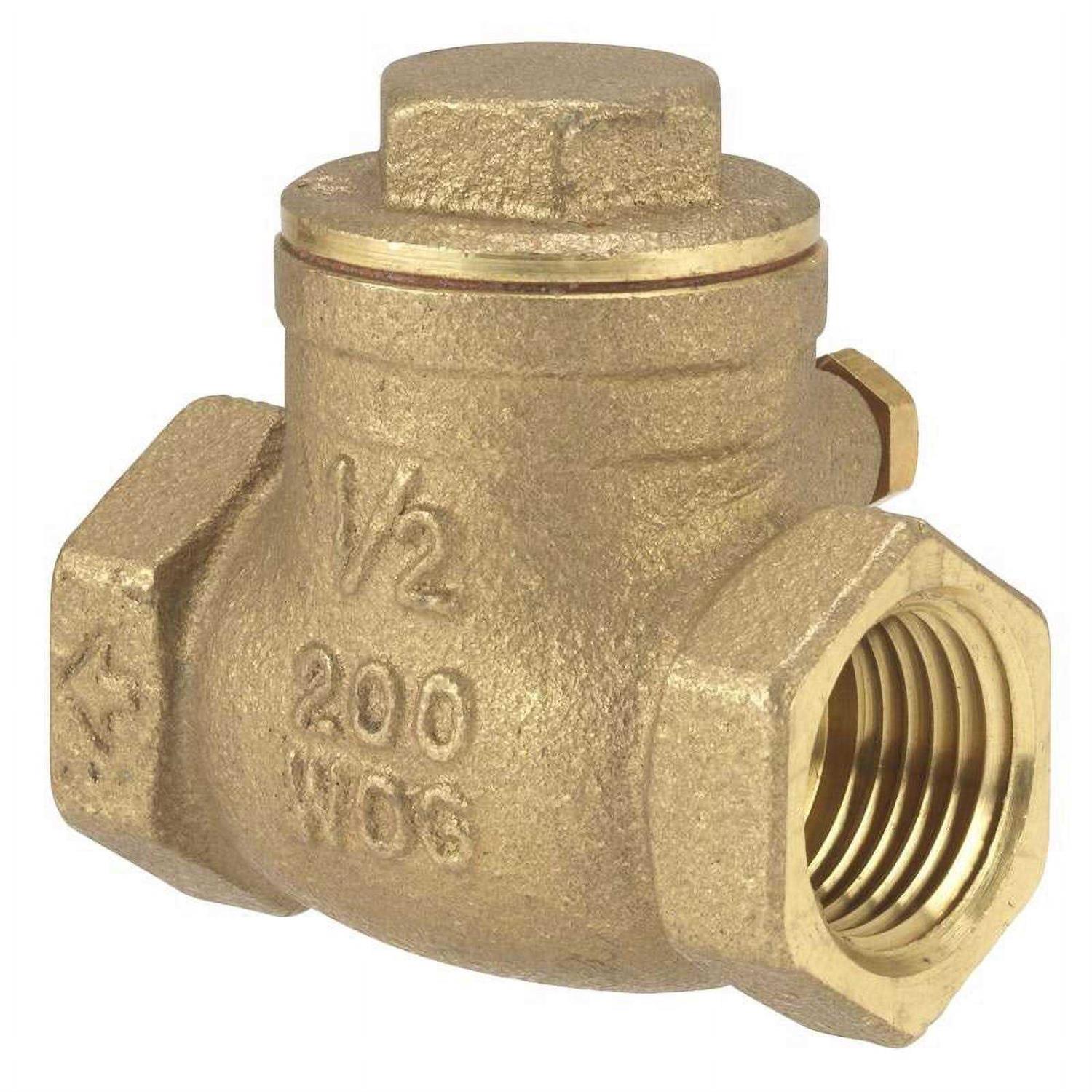 Homewerks Brass Swing Check Valve - Zenithce