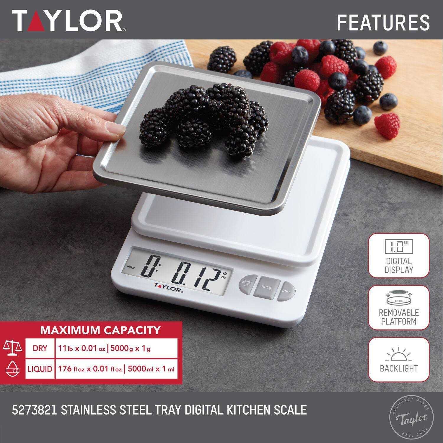 Taylor Compact Kitchen Scale - Zenithce