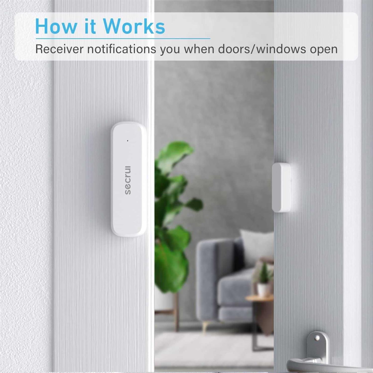 Door Bottom and Sweep - Zenithce