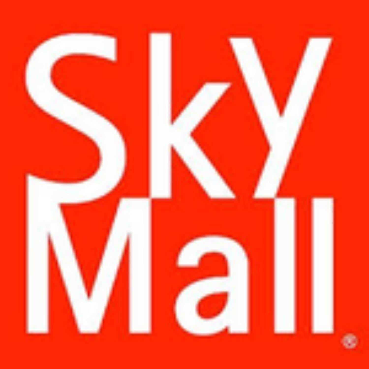 SkyLink Wireless Motion Sensor - Zenithce