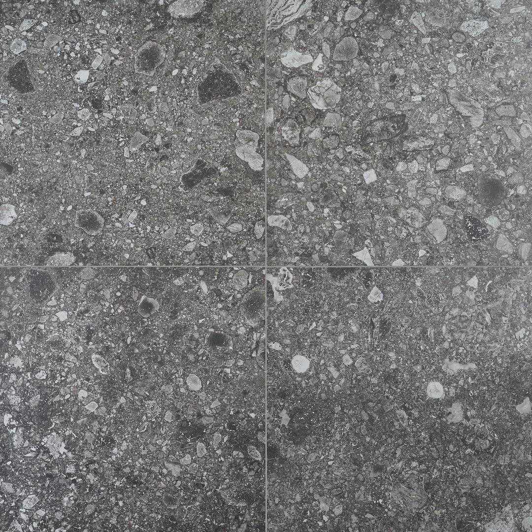 Rizzo 2.0 Matte Porcelain 24 x 24 Floor and Wall Tile Ivy Hill Tile - Zenithce