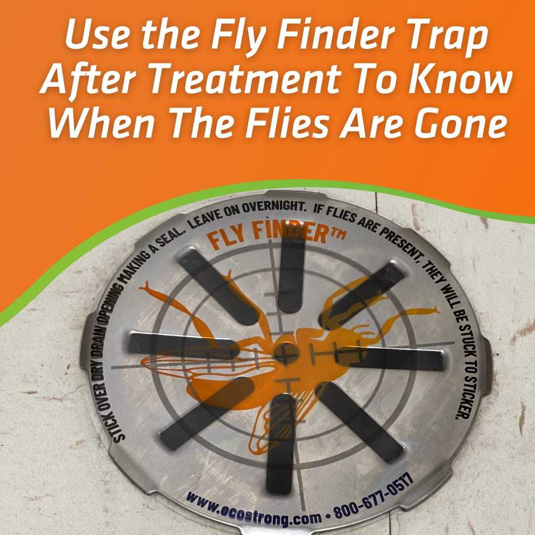 Fruit Fly Drain Treatment Drain Fly Eliminator All-Natural, Eliminates Gnats, Sewer Flies and More - Zenithce