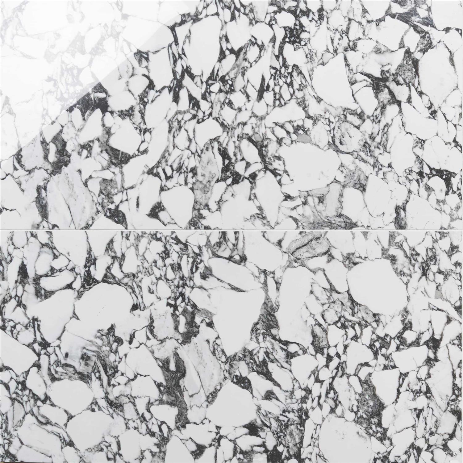 Ivy Hill Tile Magnus 23.62 in. x Polished Porcelain Marble Look Floor and Wall Tile - Zenithce