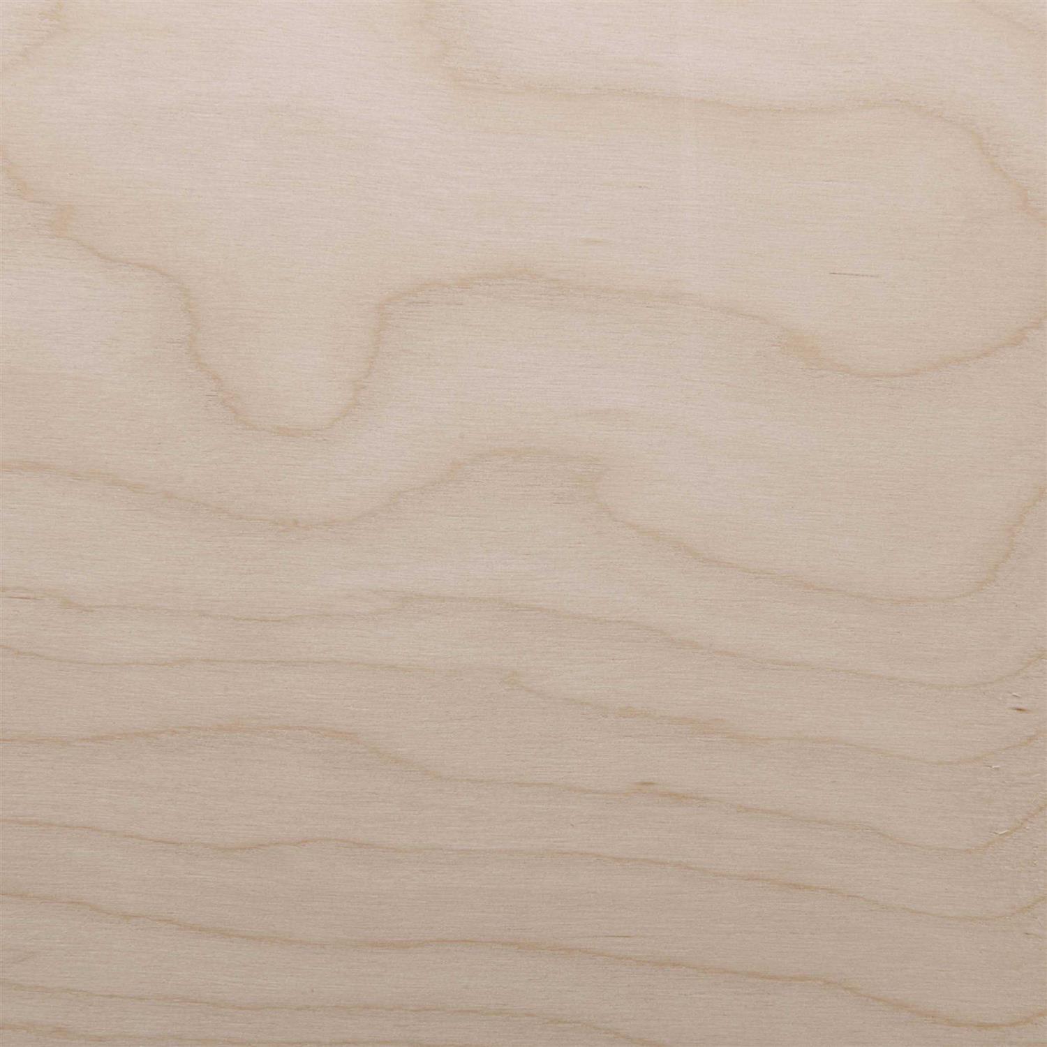 Sauers White Birch Wood Veneer Sheet 4′ x 8 - Zenithce