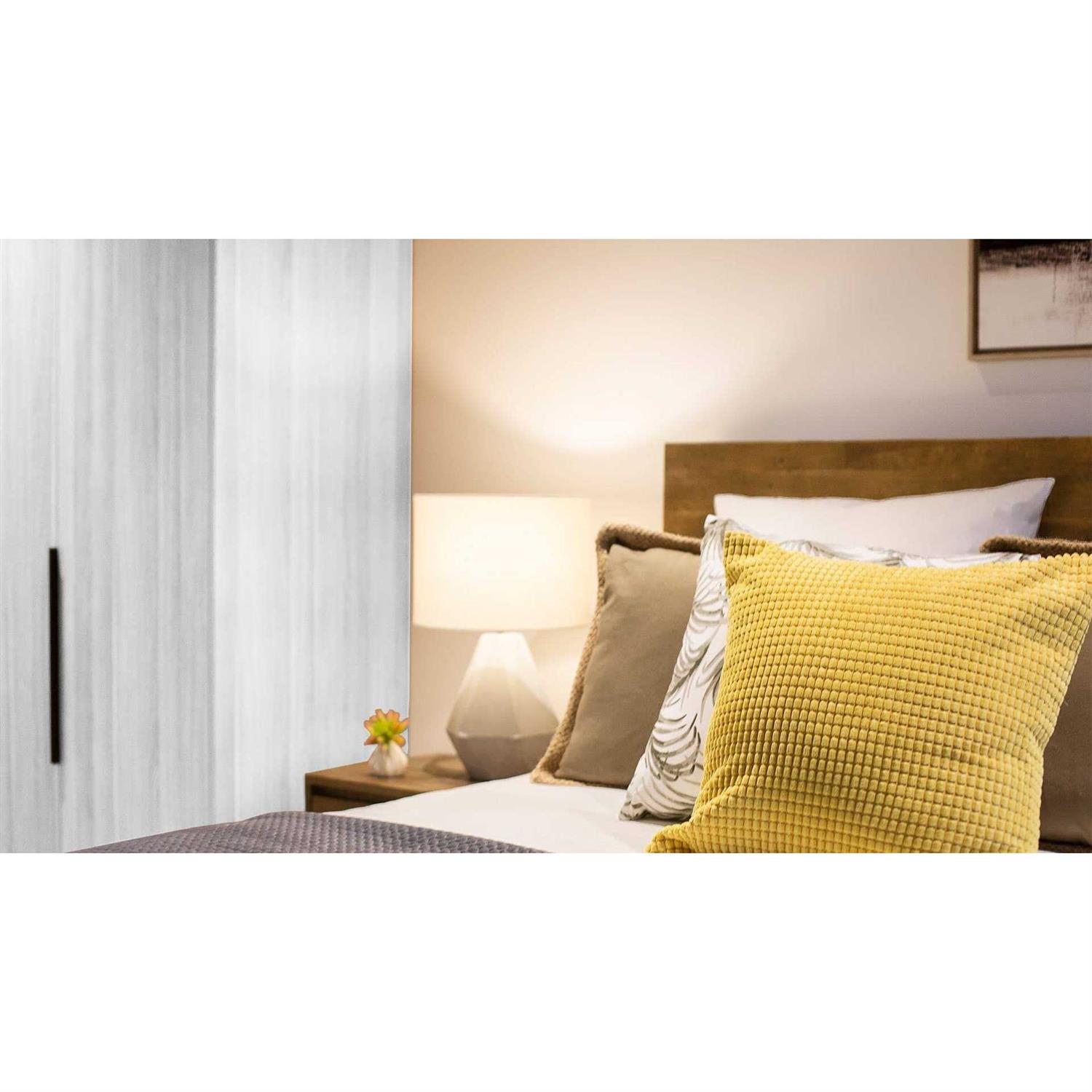 Evolve Paint & Primer Environment-friendly Low Sheen with One-Coat Coverage for Interior & Exterior Surfaces - Zenithce