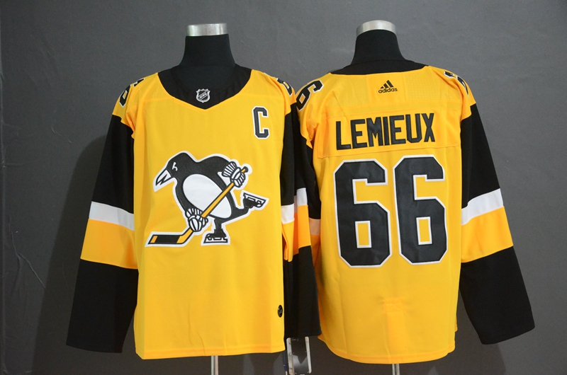 Pittsburgh Penguins #66 Mario Lemieux Gold Stitched Jersey - Zenithce