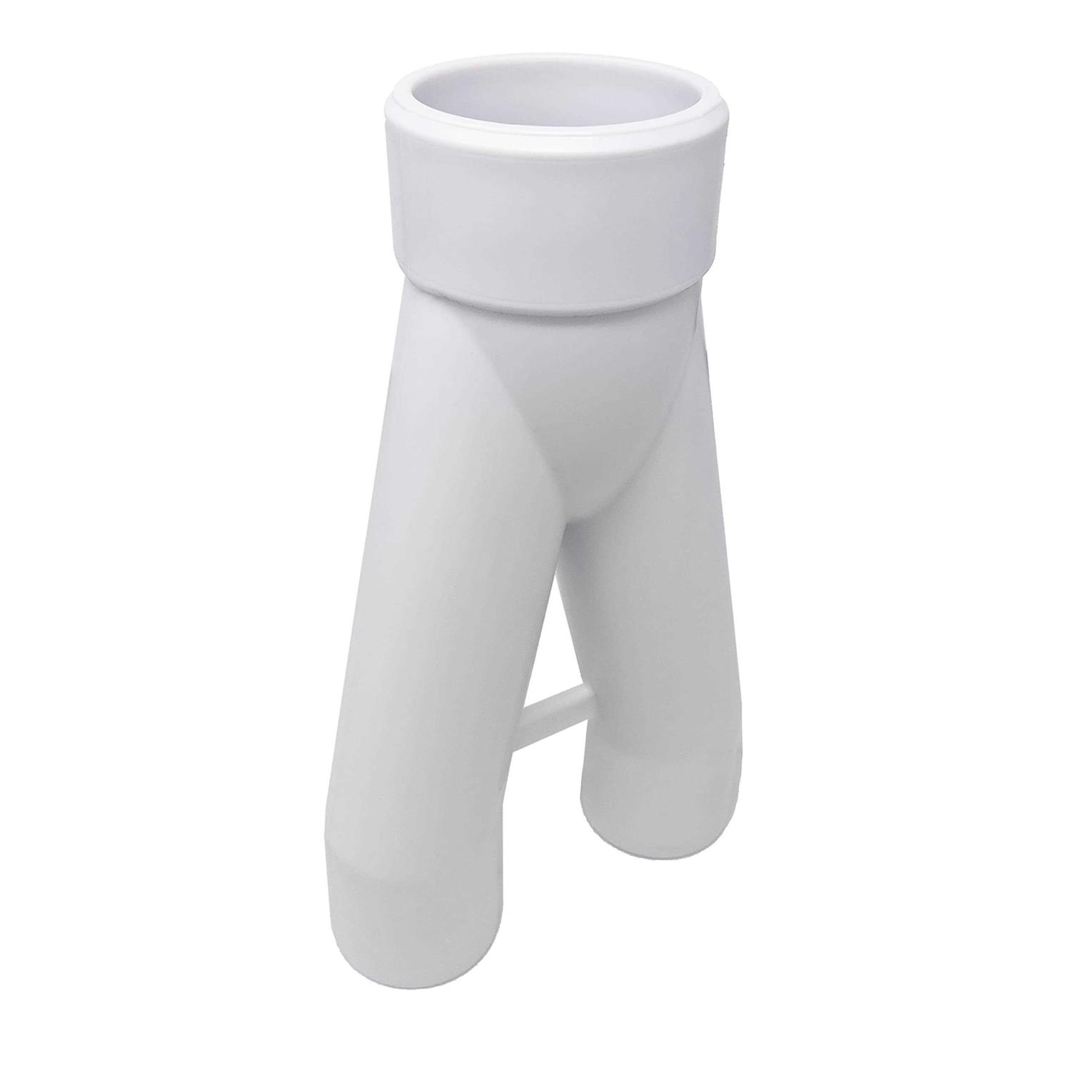 PumpSpy 1-1/2 in. Silent Clear Check Valve - Zenithce