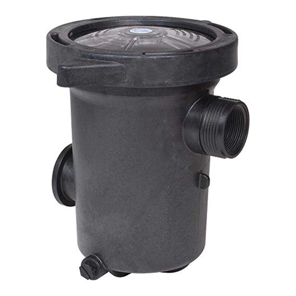 Waterway Pump Iron Might 115V 3410030-1E - Zenithce