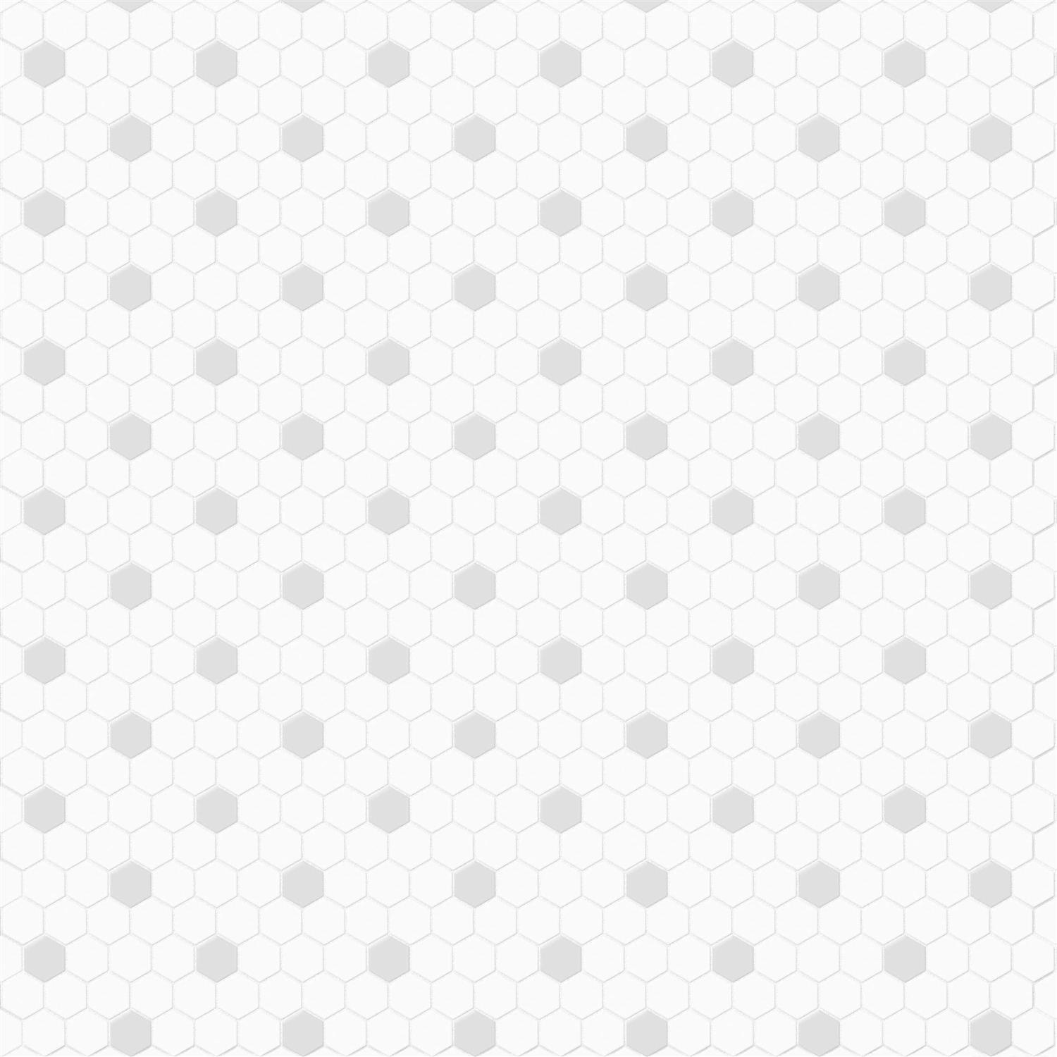 Satori Gios Hexagon 8-in x 10-in Matte Porcelain Floor and Wall Tile 1001 - Zenithce