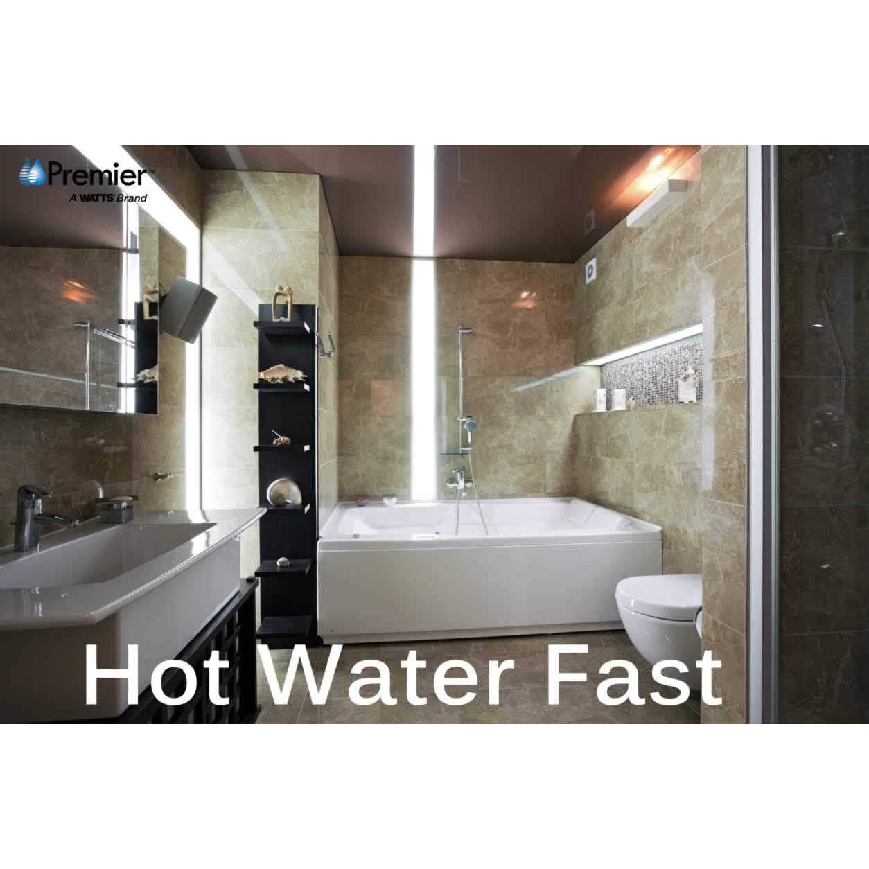 Watts Premier WP116001 Air-Gap Non-Monitored Faucet for Water Filtration Systems - Zenithce
