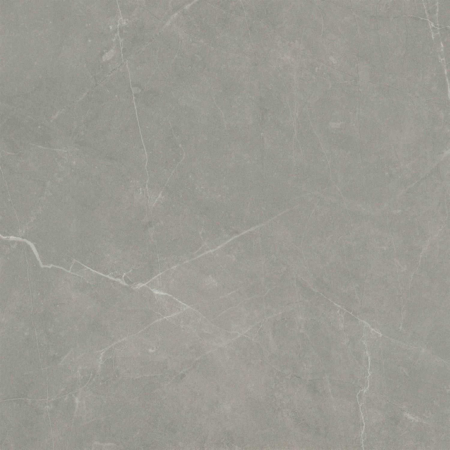 Emser Tile Sterlina 24 x 24 Square Floor and Wall Tile - Zenithce