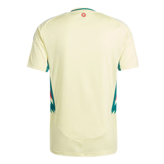 Wales 2024/25 Away Soccer jersey - Zenithce