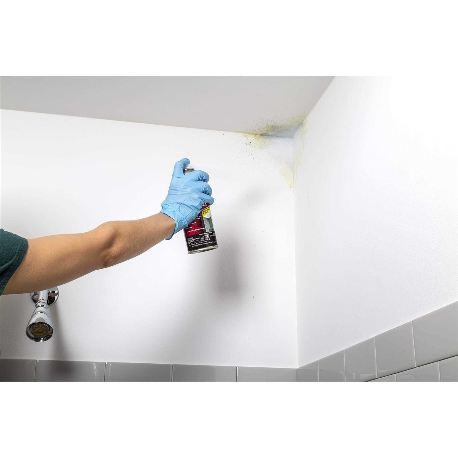 Zinsser Mold Killing Primer 276049 - Zenithce