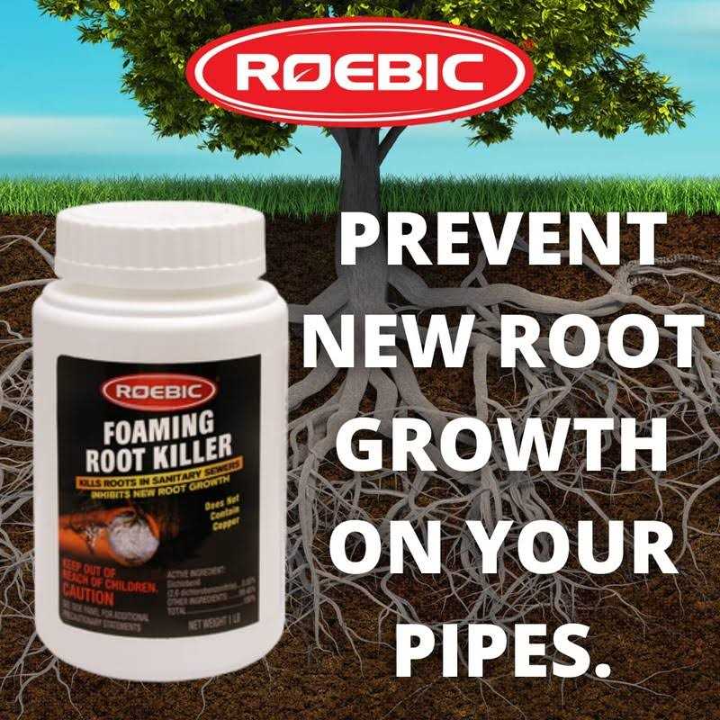 Roebic Foaming Root Killer - Zenithce