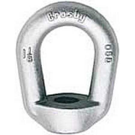 Crosby G-400 Hot Dip Galvanized Eye Nut Tap at Rigging Warehouse - Zenithce