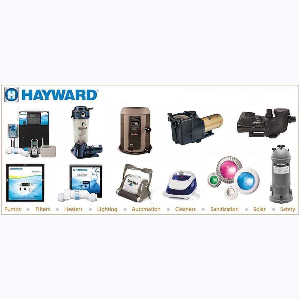 Hayward DEX2420MAR2 Manual Air Relief Assembly - Zenithce