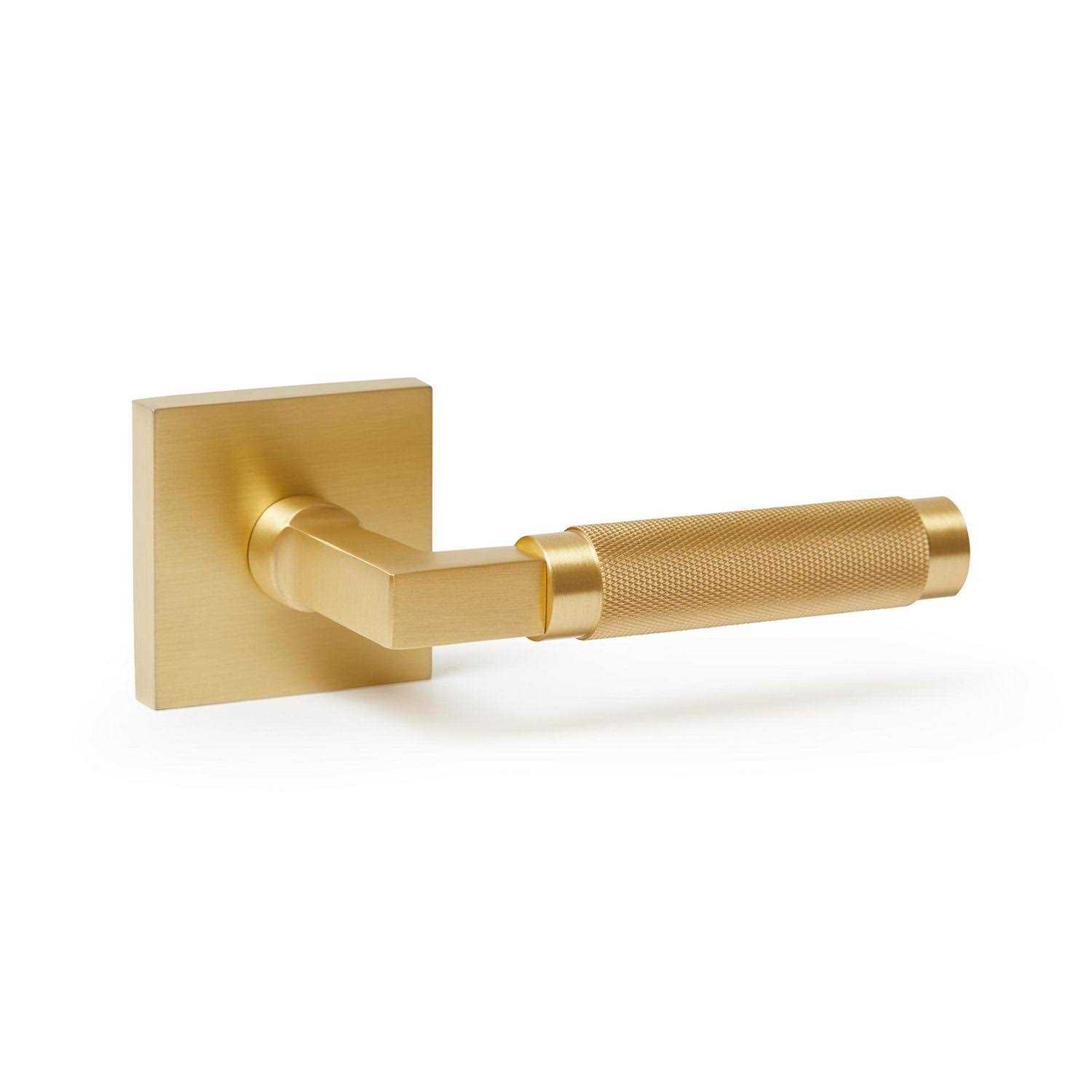 Explore Hardware GENEVASD Geneva Door Lever Function - Zenithce