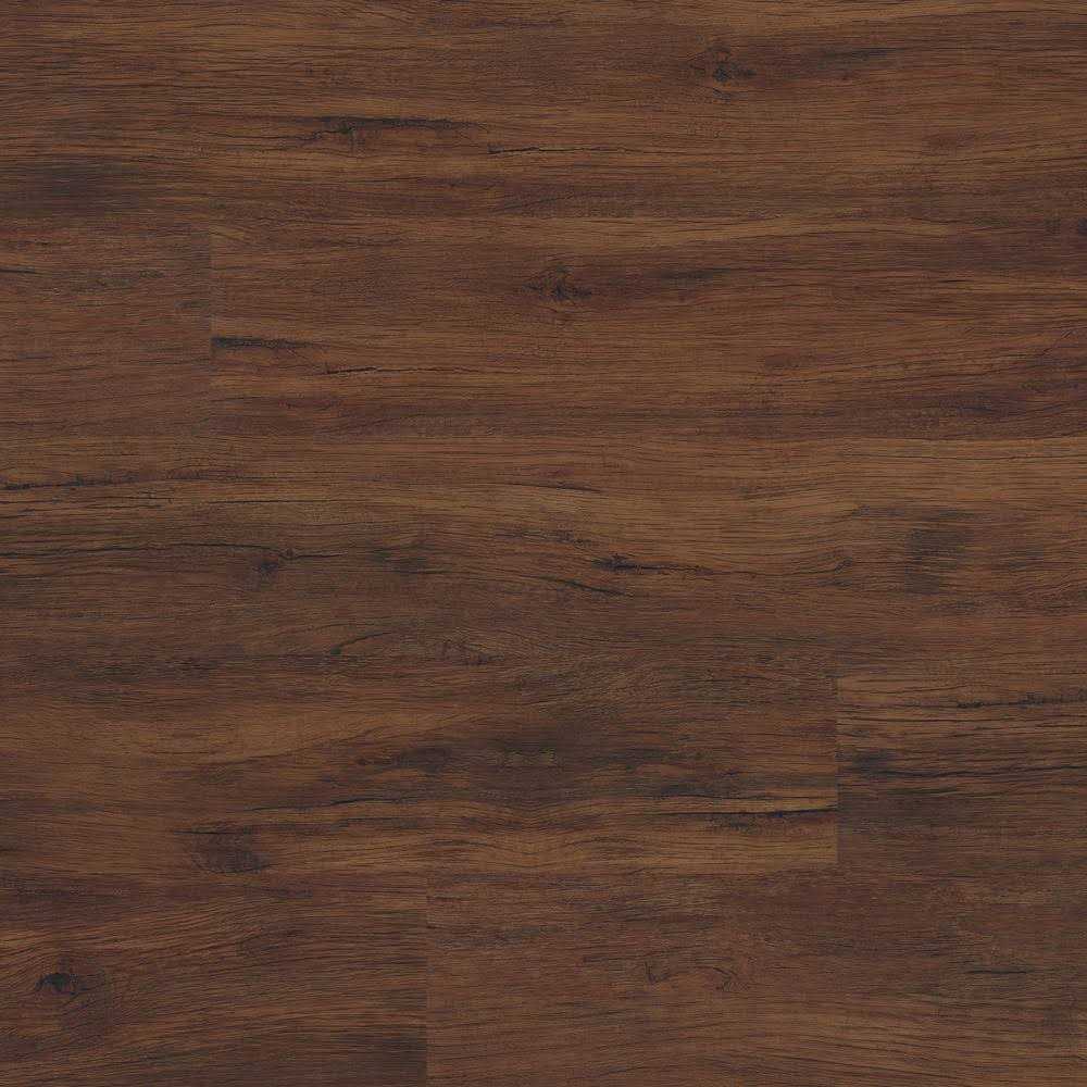 MSI Encaustic Taylora 8 in. x 8 in. Matte Porcelain Floor and Wall Tile - Zenithce