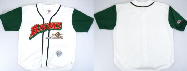 Buffalo Bisons Blank White Stitched Jersey - Zenithce