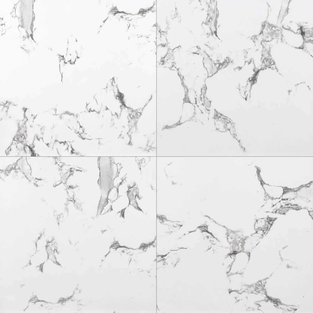 MSI St. Helena Gold 12 in. x 12 in. Polished Granite Floor and Wall Tile - Zenithce