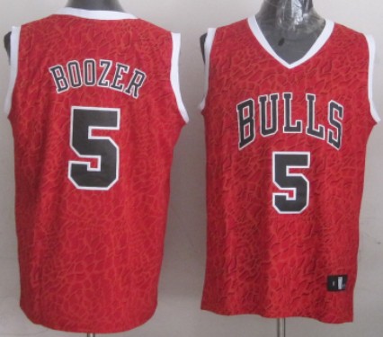 Chicago Bulls #5 Carlos Boozer Red Leopard Print Fashion Jersey - Zenithce
