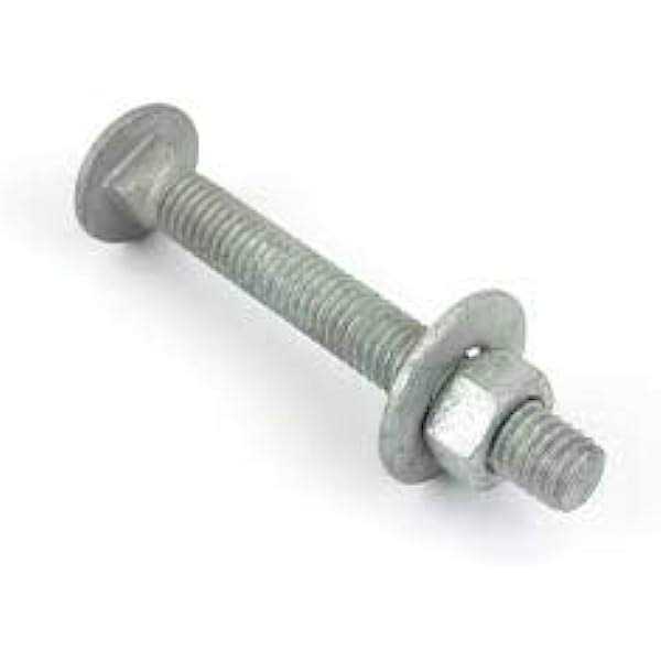 Fastener Depot Hot Dipped Galvanized Carriage Bolt Wnuts & Flat Washers - Zenithce
