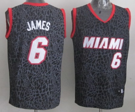 Miami Heat #6 LeBron James Black Leopard Print Fashion Jersey - Zenithce