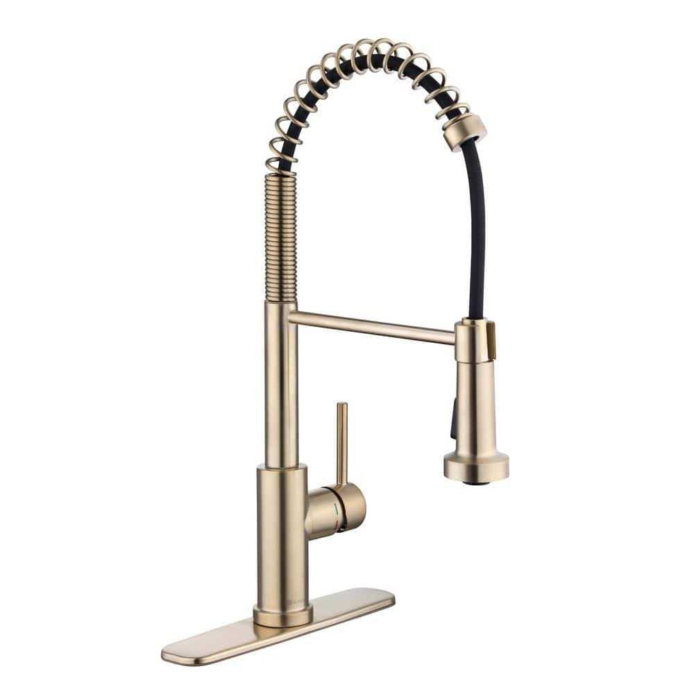 Glacier Bay Paulina Single-Handle Spring Neck Pull Down Sprayer Kitchen Faucet - Zenithce