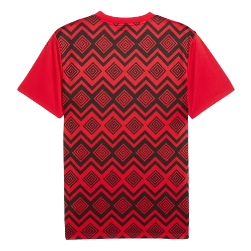 Egypt Pre-Match Red Soccer jersey 2024/25 - Zenithce