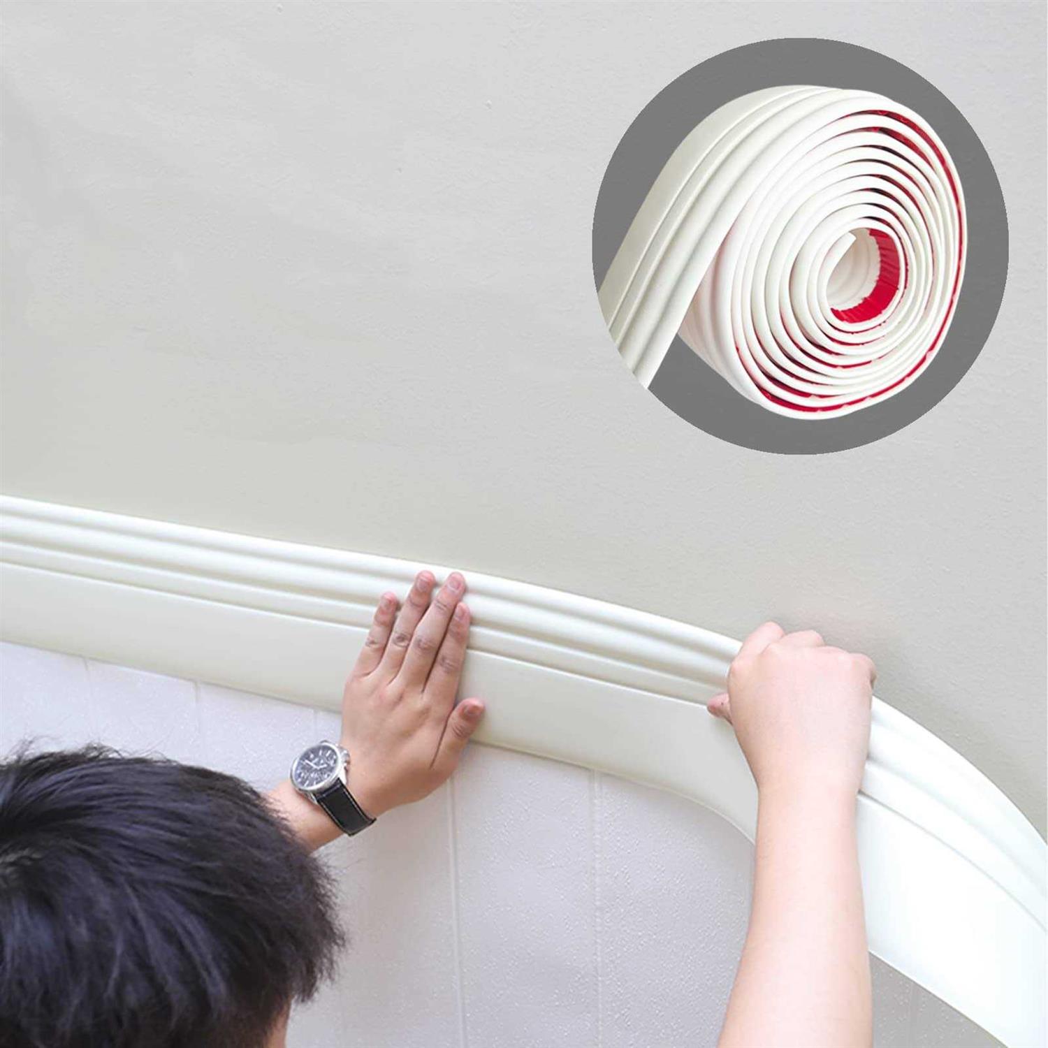 Paint-Guard Mold & Mildew Defense for Paint - Zenithce