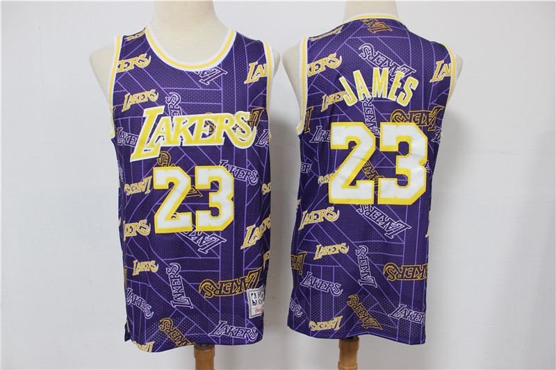 Los Angeles Lakers #23 LeBron James Purple Tear Up Pack Mitchell & Ness Swingman Jeresy - Zenithce