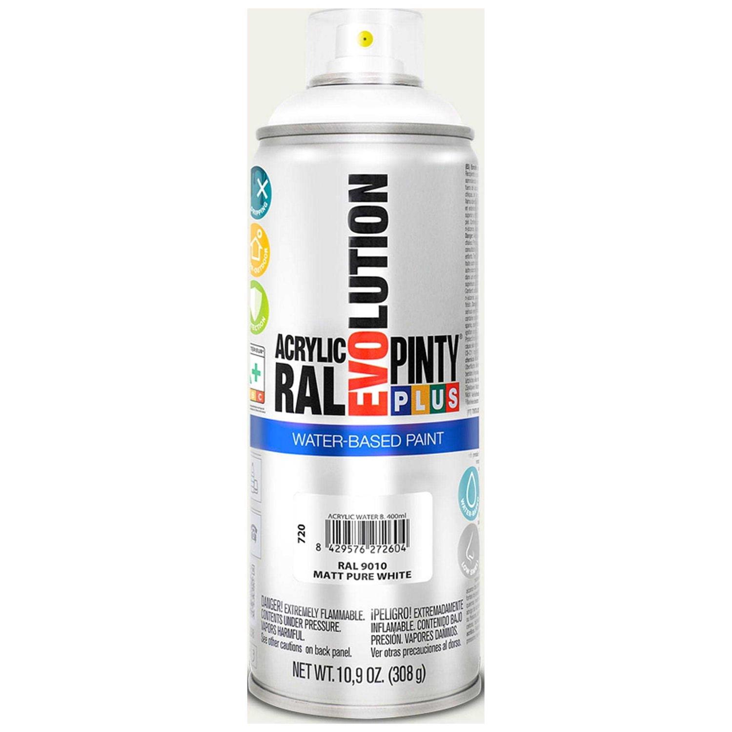 Pintyplus Water Based Spray Paint Matte Jet Black 10.9oz - Zenithce