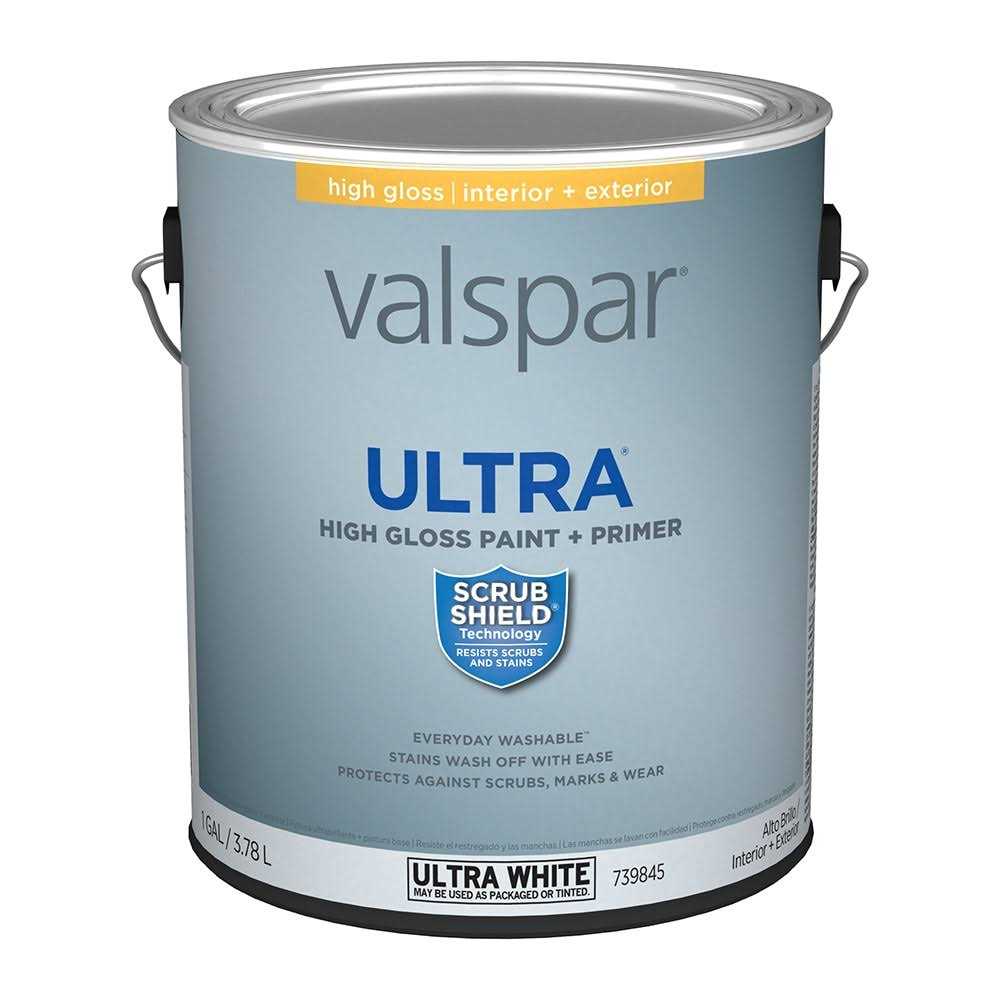 Valspar High-gloss Ultra White Acrylic Interior/Exterior Door and Trim Paint - Zenithce