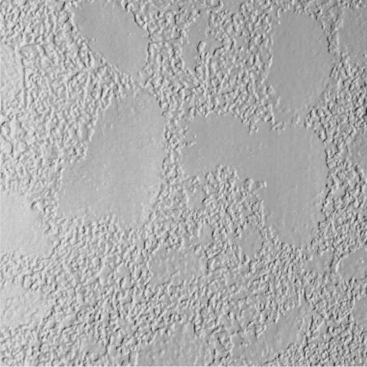 James Hardie Fiber Cement Artisan V Groove Siding 8.25×144 - Zenithce