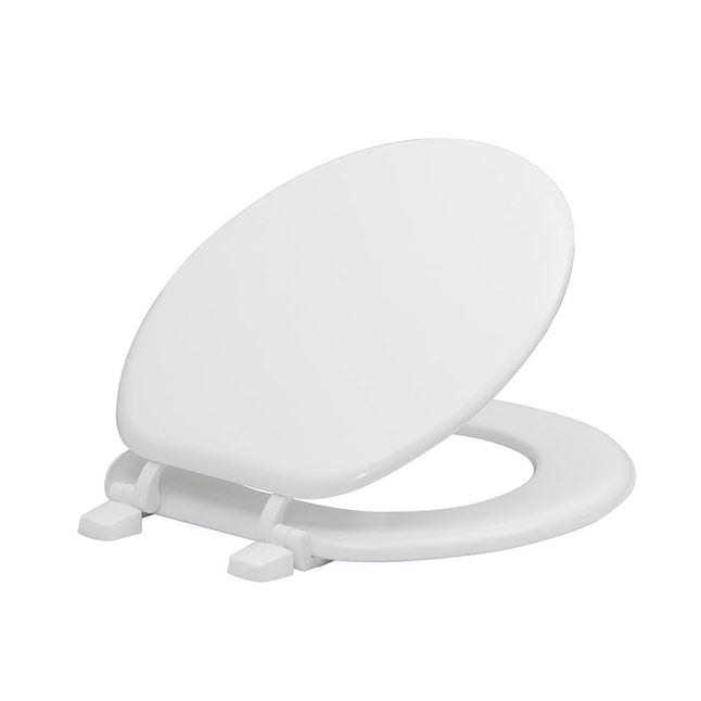Project Source Pro-Flush White Round Chair Height 2-piece WaterSense Toilet 12-in Rough-in - Zenithce