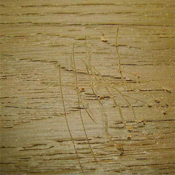 NewTechWood Allure Aluminum Preassembled Railing Kit - Zenithce