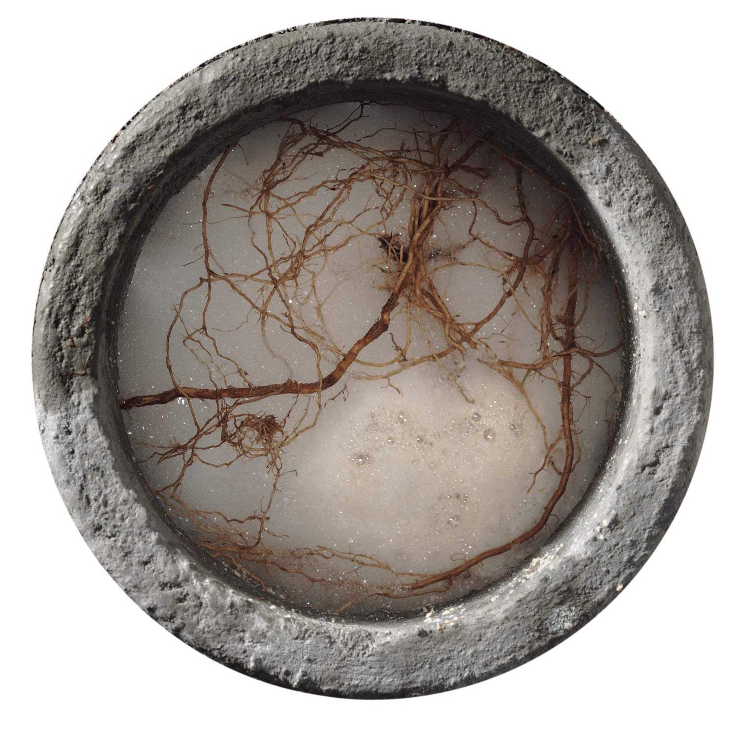 Rooto Sewer Line Cleaner - Zenithce