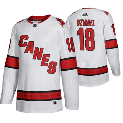 Carolina Hurricanes #18 Ryan Dzingel White Stitched Jersey - Zenithce