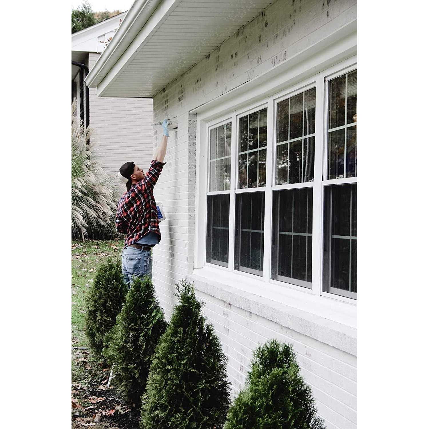 ROMABIO Limewash Interior/Exterior Paint - Zenithce