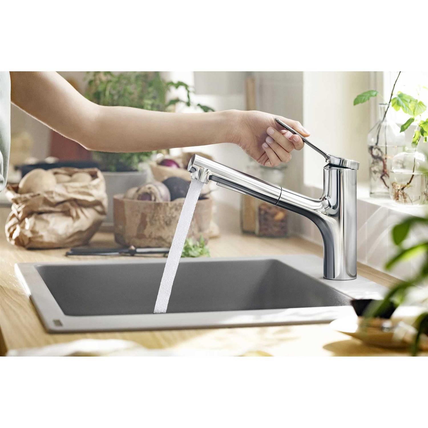 Hansgrohe Zesis 1.75GPM 2-Spray Pull-Out Kitchen Faucet - Zenithce
