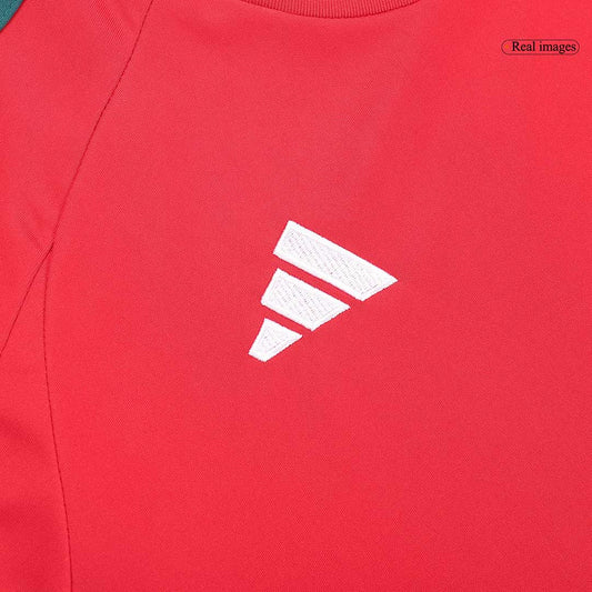 Wales 2024/25 Home Soccer jersey - Zenithce