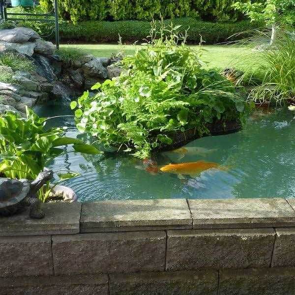 Pond Armor Non Toxic Pond Shield Epoxy Paint - Zenithce