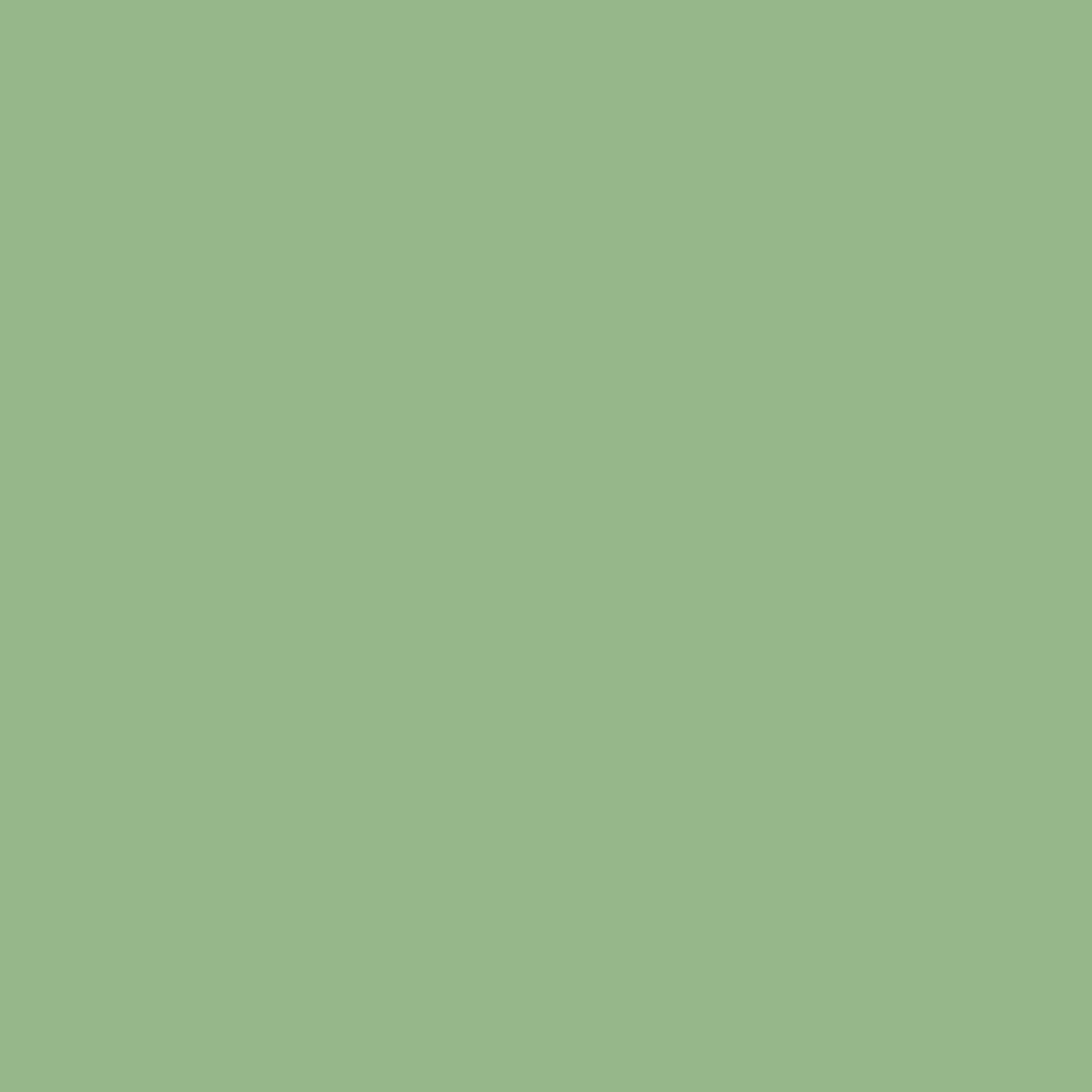 Krylon COLORmaxx Spray Paint - Zenithce