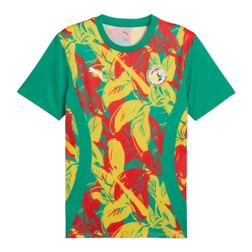 Senegal Pre-Match Green Soccer jersey 2024/25 - Zenithce