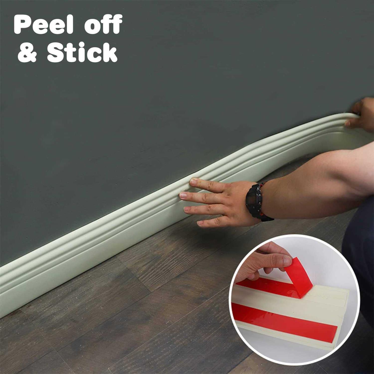 Paint-Guard Mold & Mildew Defense for Paint - Zenithce
