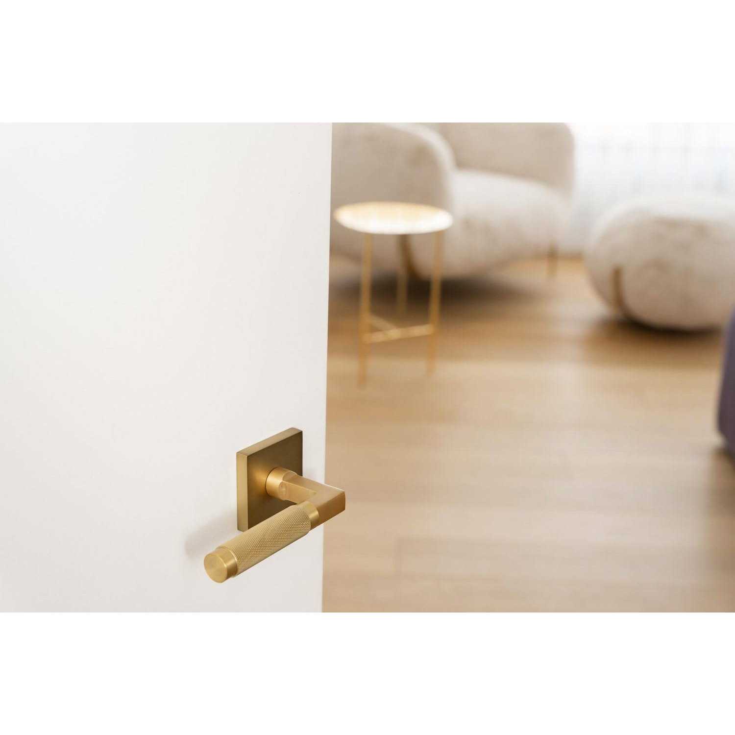Explore Hardware GENEVASD Geneva Door Lever Function - Zenithce