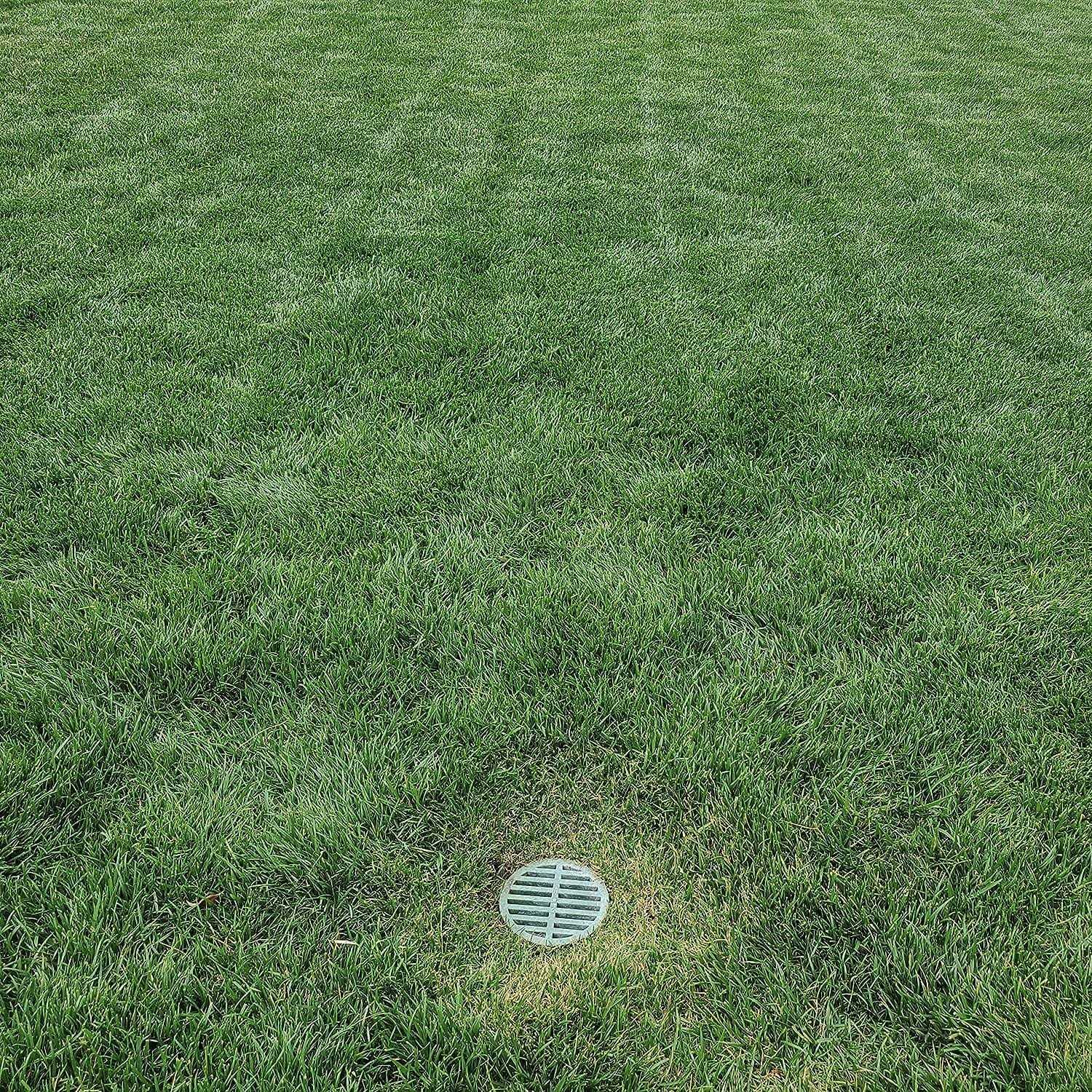 Premium USA Made Outdoor Round Flat Drain Grate Cover - Zenithce